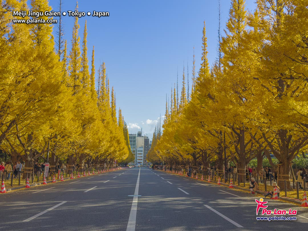 Meiji Jingu Gaien